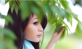 李云天摩羯座2026年运势