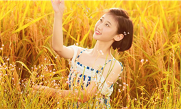 水玲师傅：今日五行能量/五行运势2025年10月31日