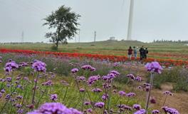 揭示你与生俱来的成功潜力