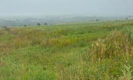 优化祖坟风水：探索带来更多福祉的秘籍