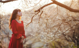 蓝蓝占星天秤座一周运势（11.10-11.16）