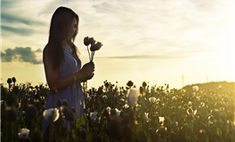 未来三个月感情运势展望，这些星座将迎来爱情丰收季