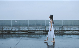 苏民峰：属牛人2025年11月运势/丁亥月运势（11.7-12.6）