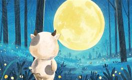 满月降临：回顾与展望，宇宙星象指引下的成就与愿景