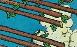 爱莎公主射手座一周塔罗运势（11.10-11.16）