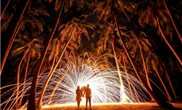 郑博士每日生肖运势2025年11月3日