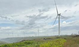 墓地立碑：掌握哪些关键要素？