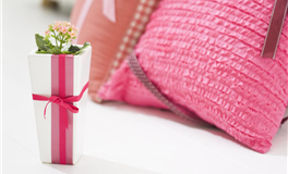 农历十月：喜神降临，这些生肖将迎来好运