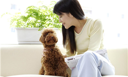 水星逆行至天蝎座：揭秘宇宙的神秘启示