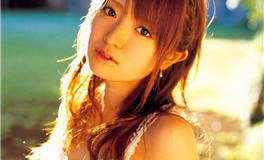 郑博士每日生肖运势2025年11月2日