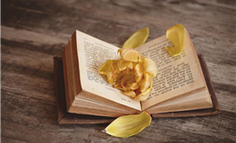 蓝蓝占星巨蟹座一周运势（11.3-11.9）