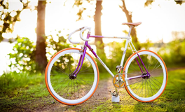 滴天居士2025年11月9日生肖运势