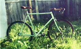 属猪天秤座2026年运势