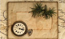 苏民峰：属猪人2025年11月运势/丁亥月运势（11.7-12.6）