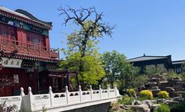 少年奇才管辂：星象解读与命运改写的传奇