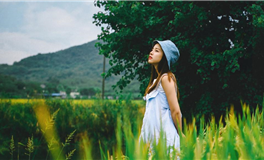 2026年12生肖幸运指南