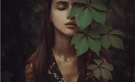 一眼洞悉！生肖如何影响局势走向