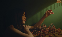 爱莎公主十二星座2026年1月塔罗运势