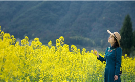 占星妖妖十二星座每日运势（2025-12-23）