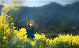 星座女神狮子座2026年运势