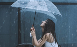 张鑫龙每日通盛+生肖运势 2025年12月13日