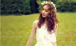 艾菲尔生肖猴2026年运势