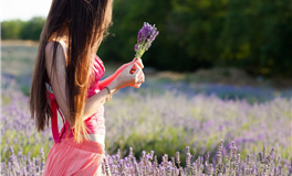 廖予占星：巨蟹座2026年1月运势