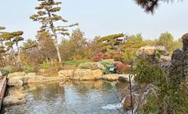 如何精准判断风水宝宅