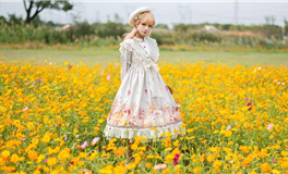 苏米君十二星座每日运势播报（2025年12月9日）