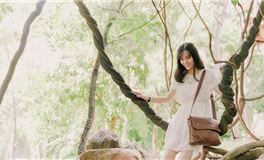 苏珊米勒每日运势2025年12月8日