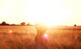 张鑫龙每日通盛+生肖运势 2025年12月7日