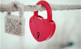 苏民峰：属猪人2025年12月运势/戊子月运势（12.7-1.4）