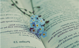 星座日运 2025年12月7日 星期日 农历十月十八