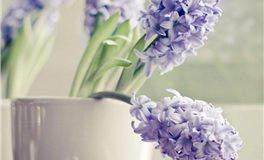 Ezoey徐佩玲十二星座2026年运势