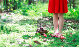 爱情测试：三张牌揭示你2026年性福指数