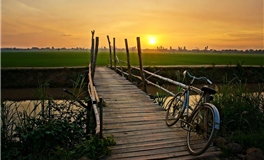 张鑫龙每日通盛+生肖运势 2026年1月28日