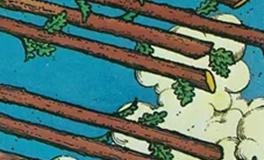 爱莎公主狮子座2026年2月塔罗运势