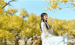 从不主动提爱，却把爱意藏在每一件小事里