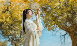 水玲师傅：今日五行能量/五行运势2026年2月24日