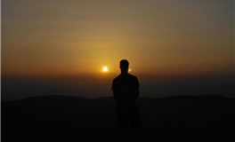 郑博士每日生肖运势2026年2月1日