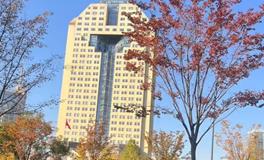 探索命运奥秘：今生的关键转折点