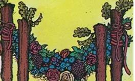 爱莎公主射手座一周塔罗运势（2.23-3.1）