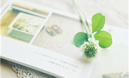 郑博士每日生肖运势2026年2月3日