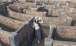 秦阳明每日生肖运势2026年3月25日