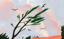 蓝蓝占星一周星象和开运提点（3.2-3.8）