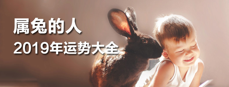 属兔的人2019年运势大全